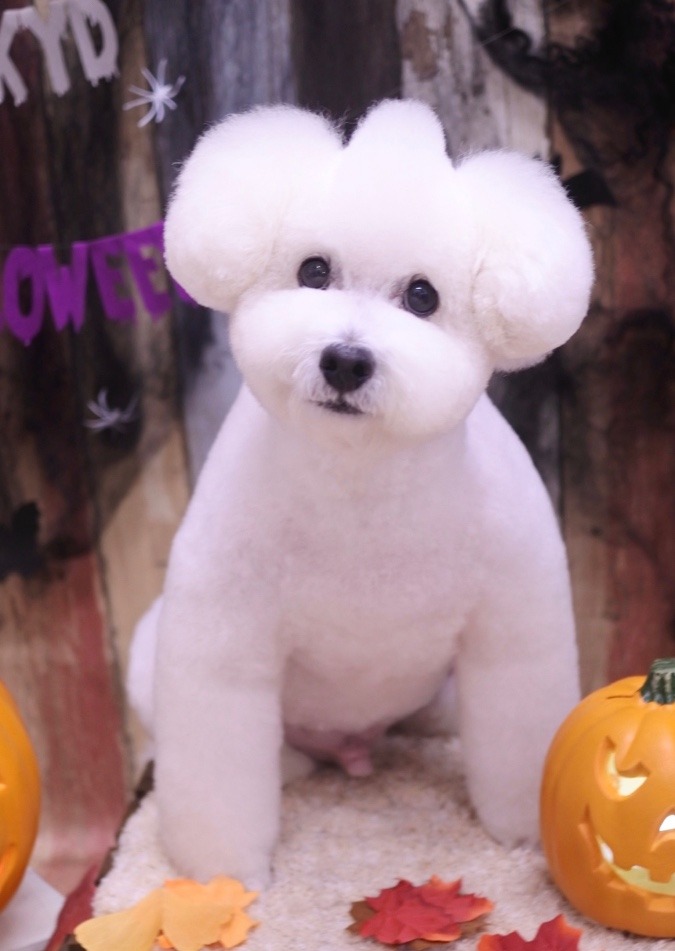 楽しくしてる?ゴクウ