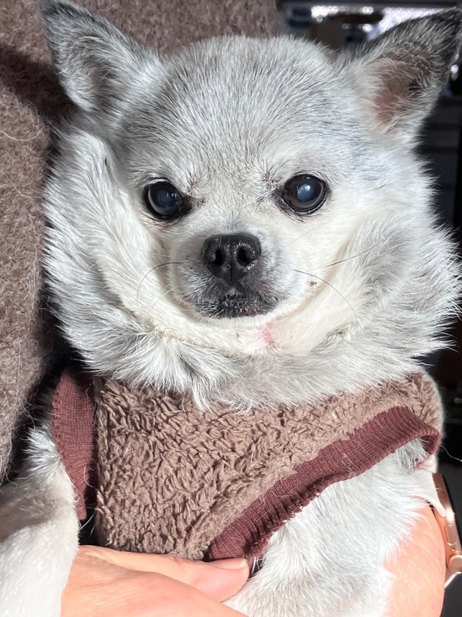 ありがとう、シュン