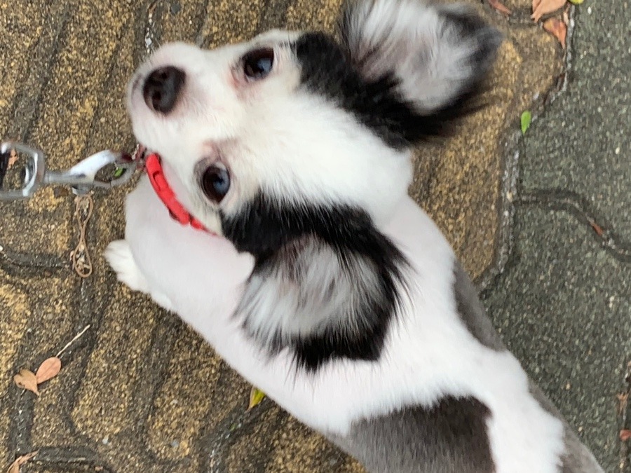 うちに来てくれてありがとう