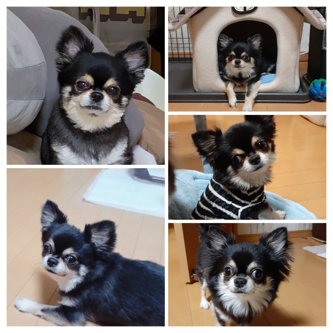 りょうま君大好きだよ、ありがとう