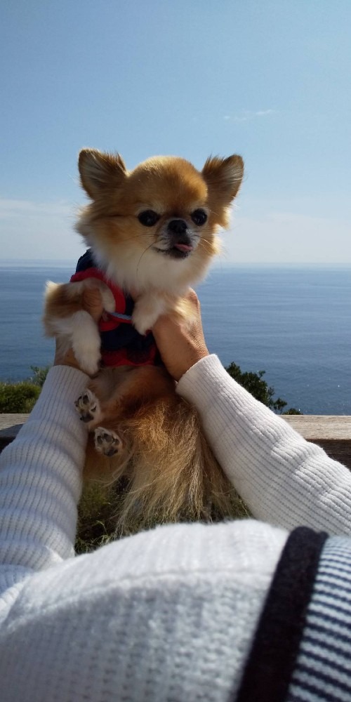 いつまでも大好き